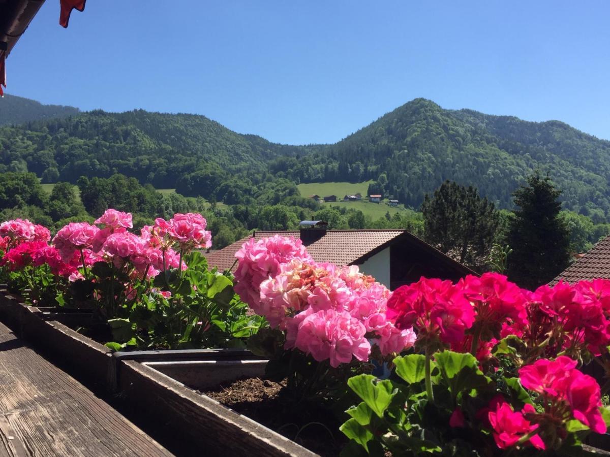 Ferienwohnungen Gaestehaus Sonnenkreis Ruhpolding Esterno foto